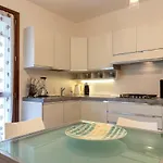 Tidy House *